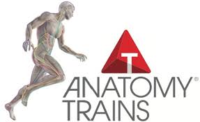 Anatomy Trains